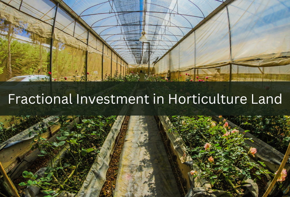 FRACTIONAL INVESTMENT IN HORTICULTURE LAND