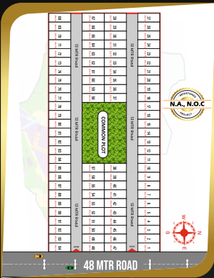 PLOT IN BHANGADH, DHOLERA